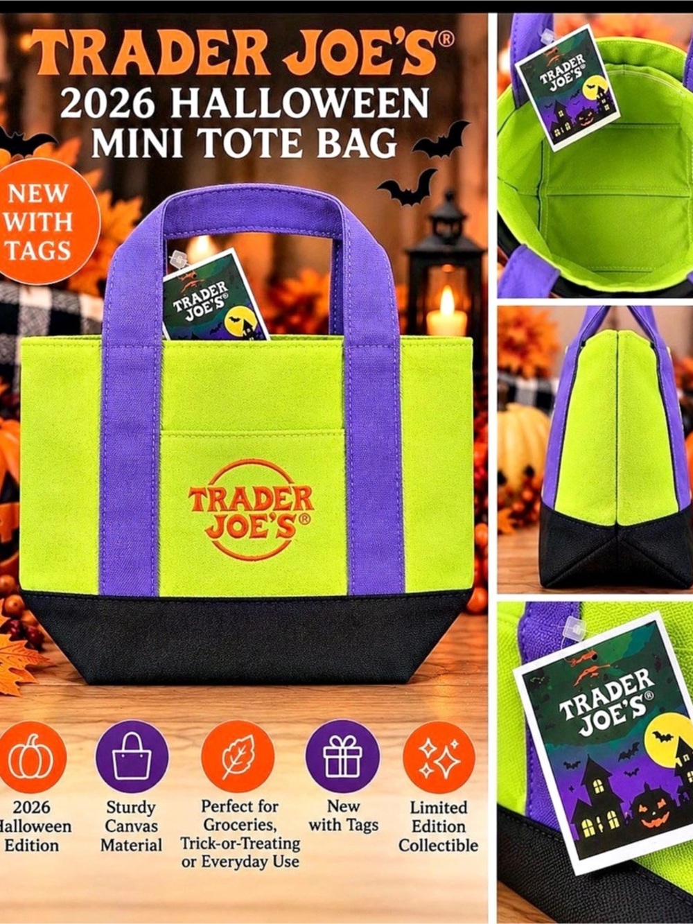 Trader Joe's Trick-or-Treat Mini Canvas Tote Bag Green & Purple